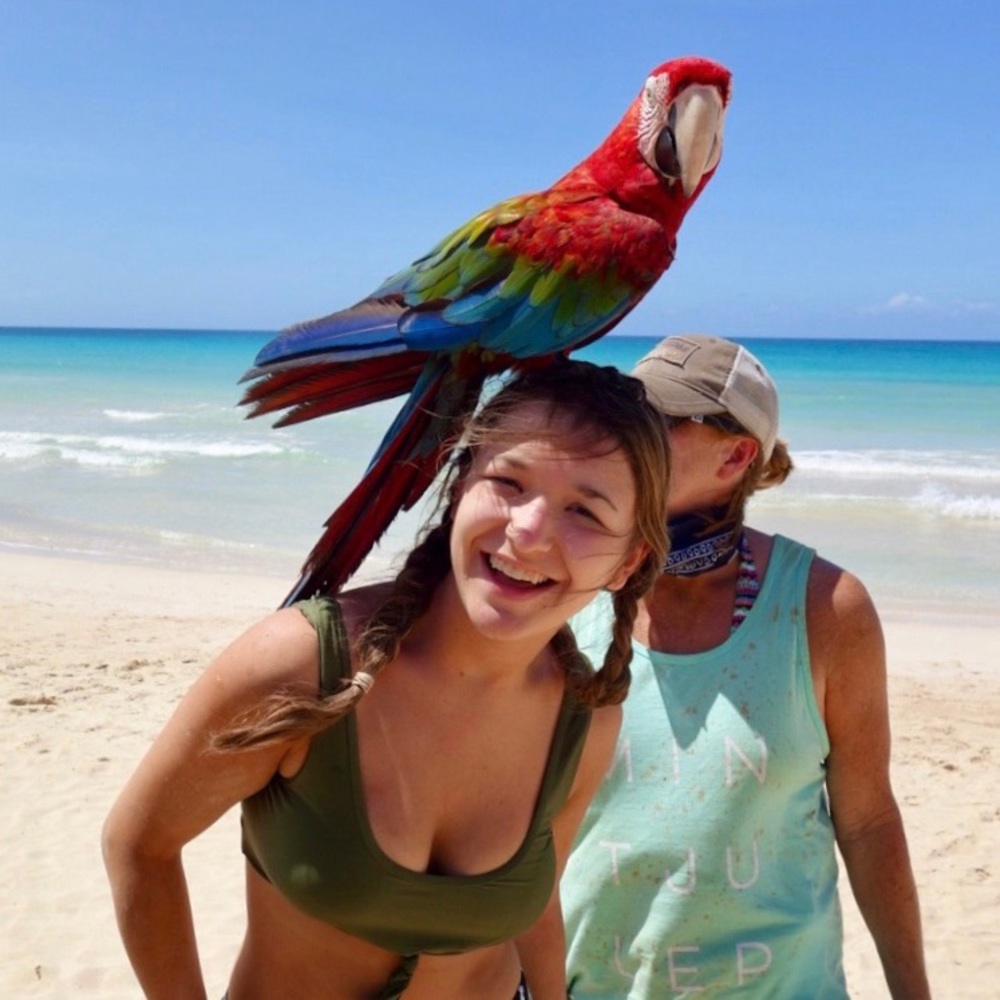 Gianni Bini Olive and Floral Bikini Set